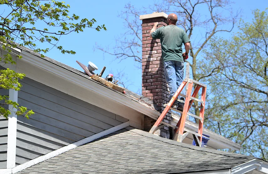 Chimney & Fireplace Inspections Services in Huntley, IL